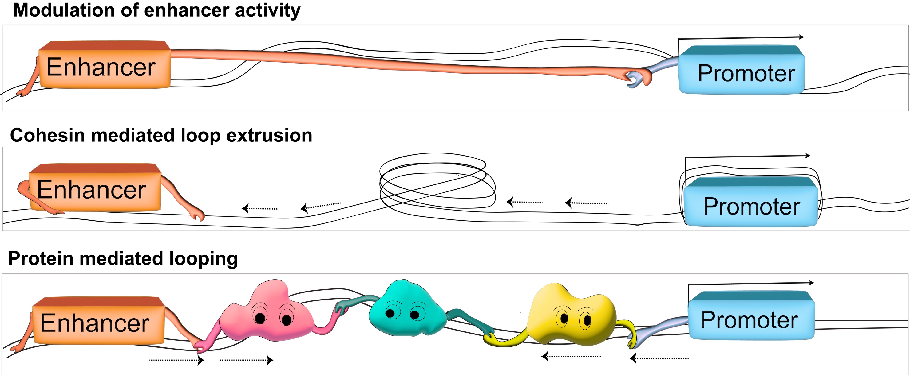 Current_Opinion_Graphical_abstract